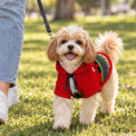 hi-vis-pet-hoodie-reflective-tapes-christmas-custom-name-safety-workwear-for-pet-lovers-dog-and-cat-lovers-4-7342c56b.jpg