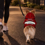 hi-vis-pet-hoodie-reflective-tapes-christmas-custom-name-safety-workwear-for-pet-lovers-dog-and-cat-lovers-7-af06f4c3.jpg