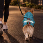 hi-vis-pet-hoodie-reflective-tapes-funny-costumes-02-custom-image-and-name-safety-workwear-for-pet-lovers-dog-and-cat-8-0876b8e9.jpg