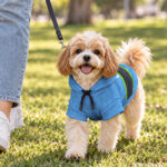 hi-vis-pet-hoodie-reflective-tapes-funny-costumes-04-custom-image-and-name-safety-workwear-for-pet-lovers-dog-and-cat-4-7f8ed21b.jpg