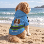 hi-vis-pet-hoodie-reflective-tapes-funny-costumes-04-custom-image-and-name-safety-workwear-for-pet-lovers-dog-and-cat-5-ce897344.jpg