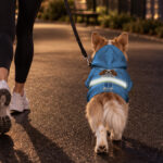 hi-vis-pet-hoodie-reflective-tapes-funny-costumes-04-custom-image-and-name-safety-workwear-for-pet-lovers-dog-and-cat-7-f4ea0b7f.jpg