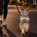 hi-vis-pet-hoodie-reflective-tapes-funny-costumes-05-custom-image-and-name-safety-workwear-for-pet-lovers-dog-and-cat-8-35c3e2e5.jpg