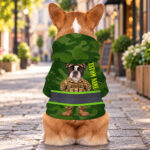 hi-vis-pet-hoodie-reflective-tapes-funny-costumes-06-custom-image-and-name-safety-workwear-for-pet-lovers-dog-and-cat-4-856904b9.jpg