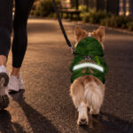 hi-vis-pet-hoodie-reflective-tapes-funny-costumes-06-custom-image-and-name-safety-workwear-for-pet-lovers-dog-and-cat-8-9c77d9e2.jpg