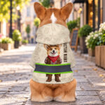 hi-vis-pet-hoodie-reflective-tapes-funny-costumes-08-custom-image-and-name-safety-workwear-for-pet-lovers-dog-and-cat-4-1ed74652.jpg