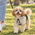 hi-vis-pet-hoodie-reflective-tapes-funny-costumes-08-custom-image-and-name-safety-workwear-for-pet-lovers-dog-and-cat-5-041df1ed.jpg