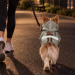 hi-vis-pet-hoodie-reflective-tapes-funny-costumes-08-custom-image-and-name-safety-workwear-for-pet-lovers-dog-and-cat-8-d195b9fc.jpg