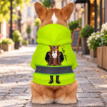 hi-vis-pet-hoodie-reflective-tapes-funny-costumes-custom-image-and-name-safety-workwear-for-pet-lovers-dog-and-cat-4-72d71ec7.jpg