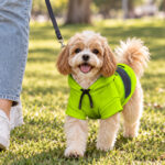 hi-vis-pet-hoodie-reflective-tapes-funny-costumes-custom-image-and-name-safety-workwear-for-pet-lovers-dog-and-cat-5-0ba61954.jpg