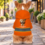 hi-vis-pet-hoodie-reflective-tapes-funny-pet-crawl-out-custom-image-and-name-safety-workwear-for-pet-lovers-dog-and-cat-3-c6177a27.jpg