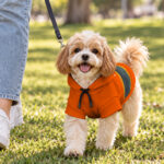 hi-vis-pet-hoodie-reflective-tapes-funny-pet-crawl-out-custom-image-and-name-safety-workwear-for-pet-lovers-dog-and-cat-4-08ca4a9e.jpg