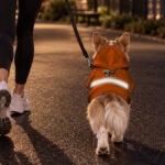 hi-vis-pet-hoodie-reflective-tapes-funny-pet-crawl-out-custom-image-and-name-safety-workwear-for-pet-lovers-dog-and-cat-7-f8a22e93.jpg