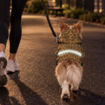 hi-vis-pet-hoodie-reflective-tapes-giraffe-custom-name-safety-workwear-for-pet-lovers-dog-and-cat-lovers-7-105dd257.jpg