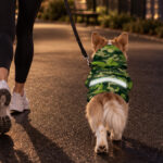 hi-vis-pet-hoodie-reflective-tapes-green-camo-neon-custom-name-safety-workwear-for-pet-lovers-dog-and-cat-lovers-7-3e6492c8.jpg