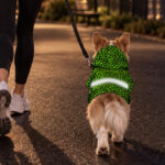 hi-vis-pet-hoodie-reflective-tapes-green-neon-leopard-custom-name-safety-workwear-for-pet-lovers-dog-and-cat-lovers-7-13267377.jpg