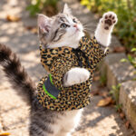 hi-vis-pet-hoodie-reflective-tapes-leopard-custom-name-safety-workwear-for-pet-lovers-dog-and-cat-lovers-6-eee30b7e.jpg