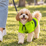 hi-vis-pet-hoodie-reflective-tapes-lime-neon-custom-name-safety-workwear-for-pet-lovers-dog-and-cat-lovers-5-cc0b1542.jpg