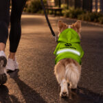 hi-vis-pet-hoodie-reflective-tapes-lime-neon-custom-name-safety-workwear-for-pet-lovers-dog-and-cat-lovers-8-e820dee7.jpg